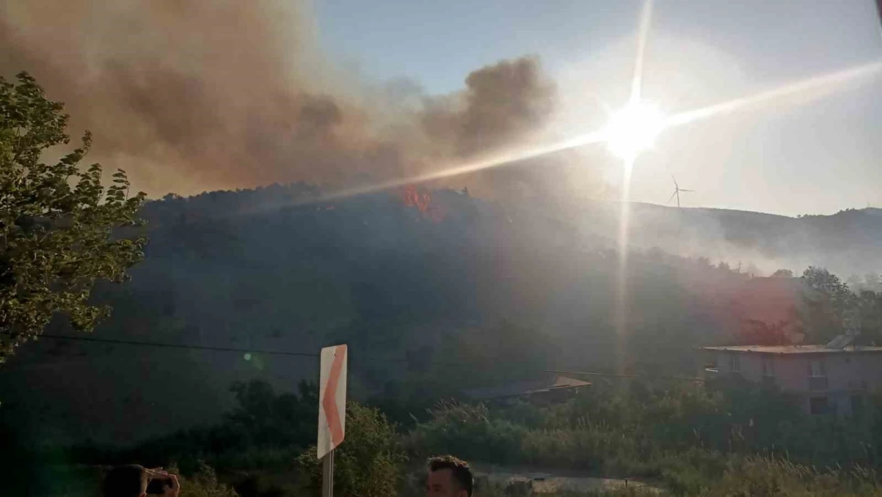 Hatay’da orman yangını
