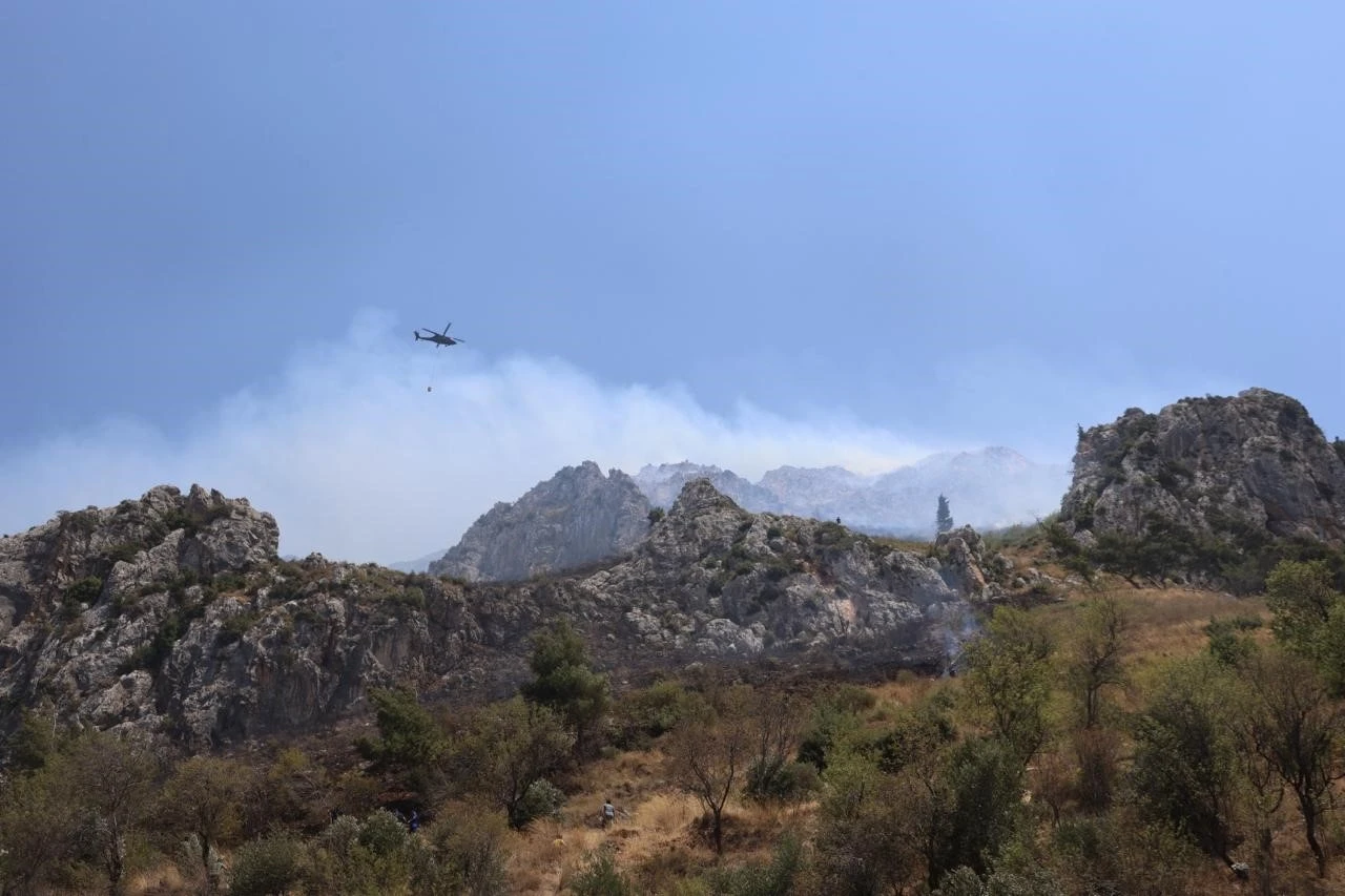 Hatay’da orman yangını

