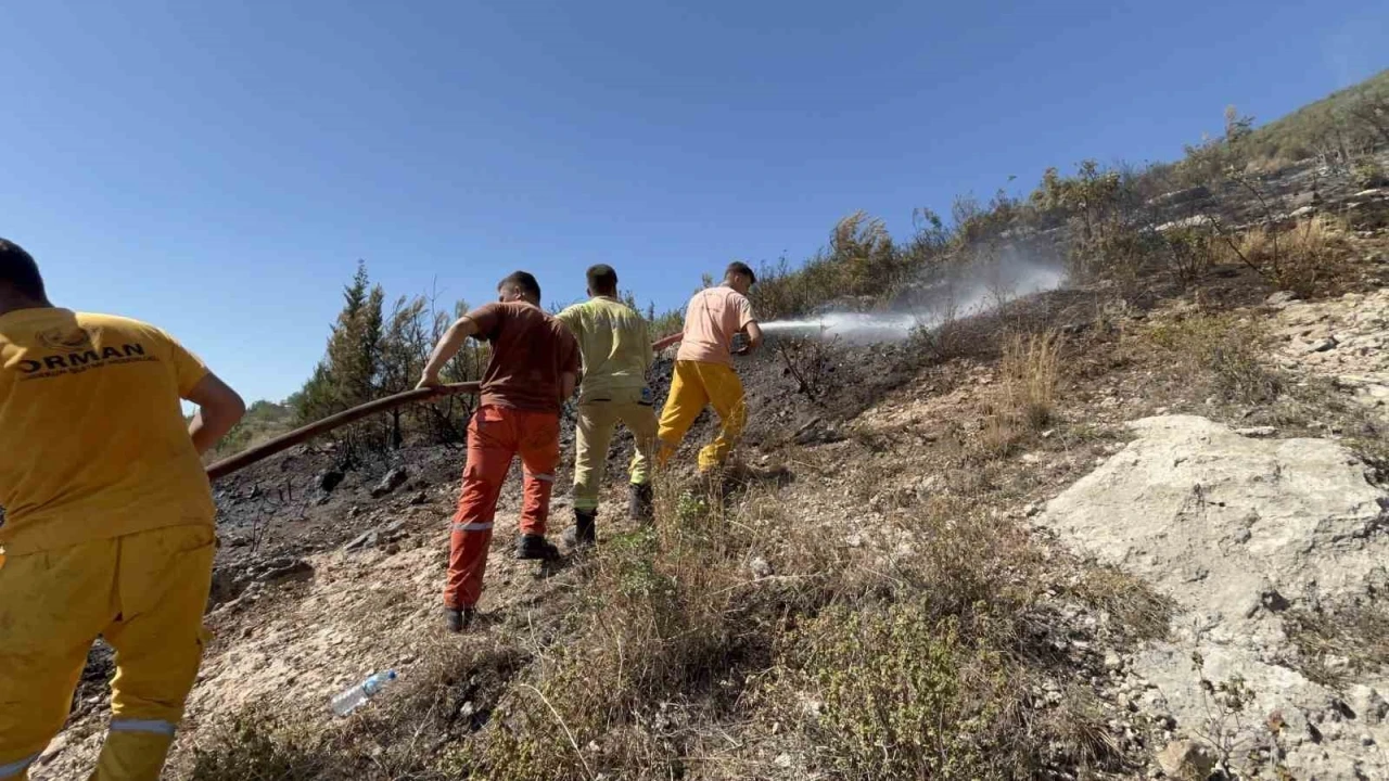 Hatay’da orman yangını kısa sürede kontrol altına alındı

