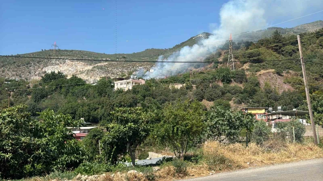 Hatay’da ormanlık alanda çıkan yangın söndürüldü

