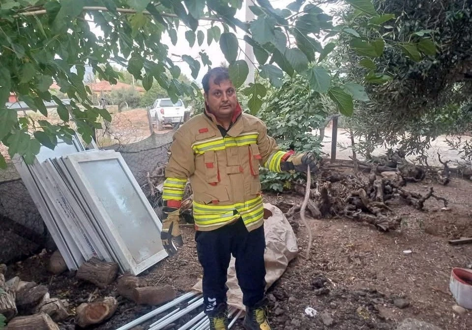 Hatay&rsquo;da yerleşim alanlarında g&ouml;r&uuml;len yılanlar doğal yaşam alanına bırakıldı
