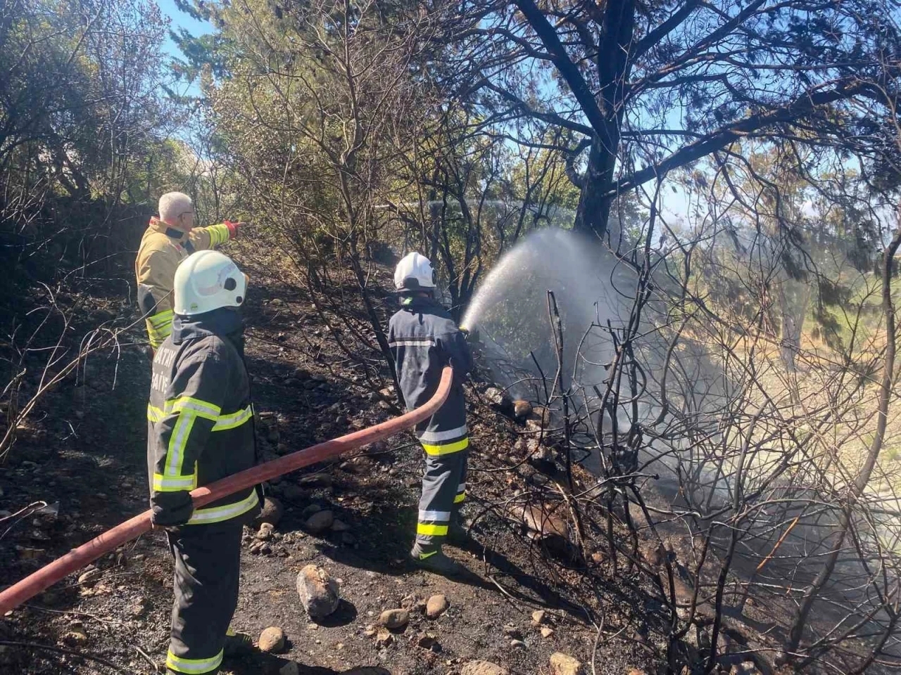 Hatay’daki orman yangını söndürüldü
