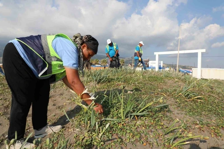 Hatay&rsquo;ın denizi ve kıyıları temizleniyor
