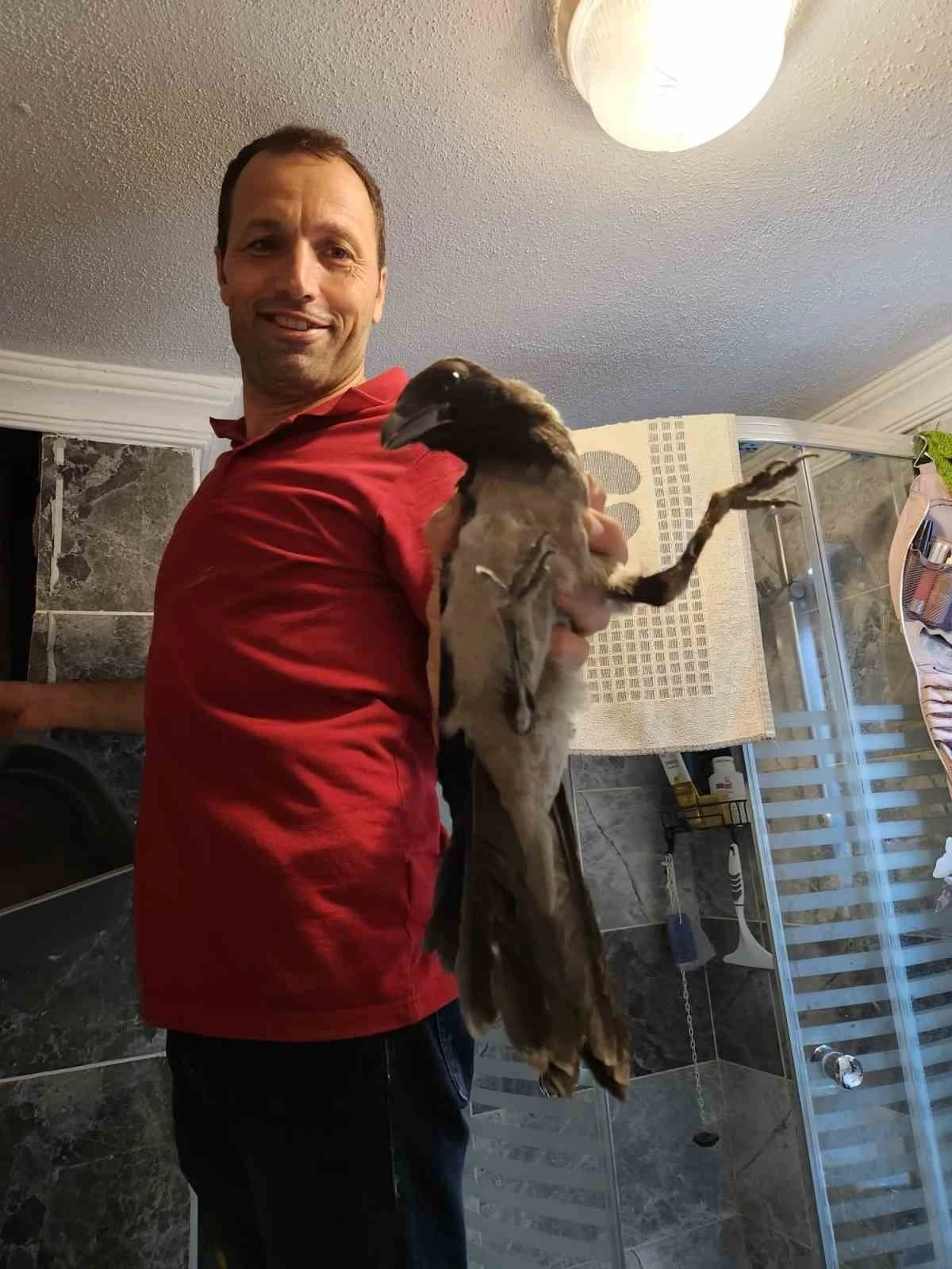 Havalandırma boşluğuna düşen kargayı vatandaş kurtardı
