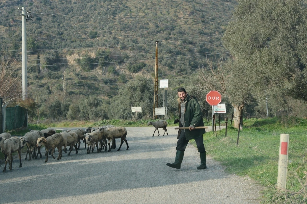 Havalar ısındı, s&uuml;r&uuml;ler doğaya salındı
