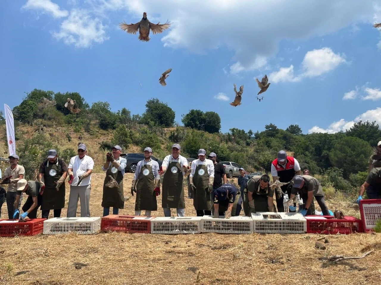 Havran&rsquo;da keklikler doğal yaşam alanlarına bırakıldı
