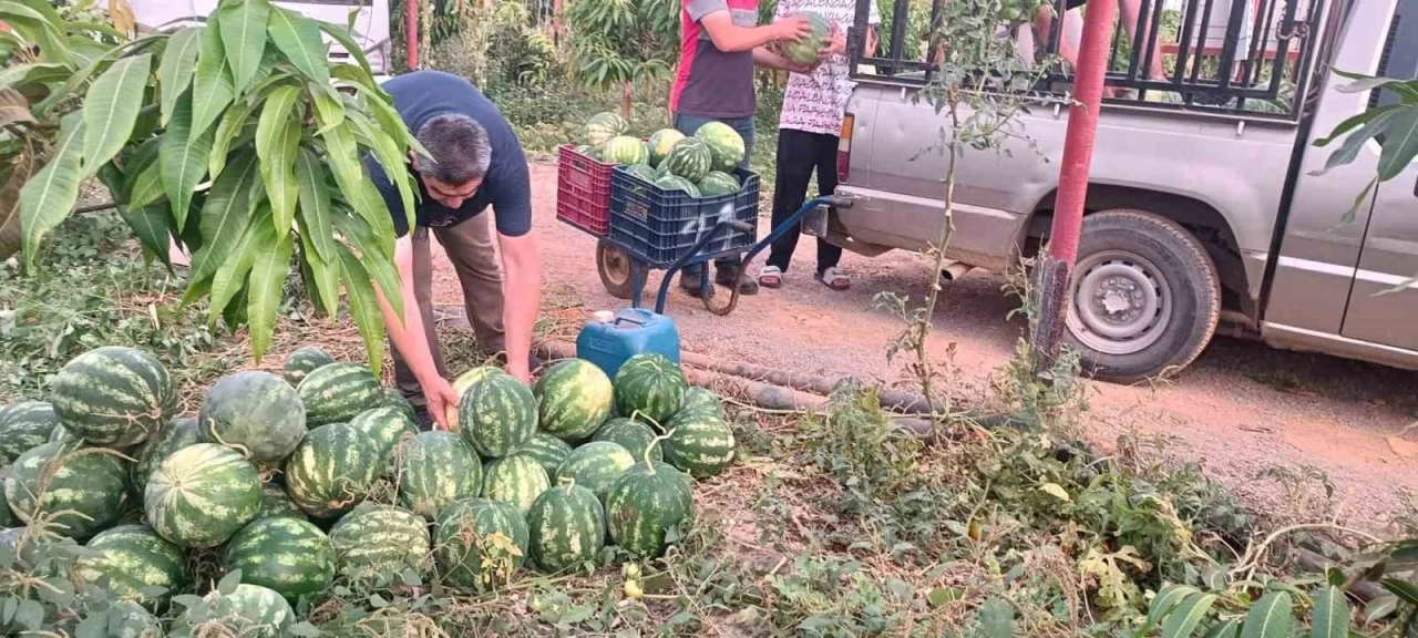 Hayırsever &ccedil;ift&ccedil;inin tarlası bu yıl &ouml;ğrencilerin i&ccedil;in hasat edildi

