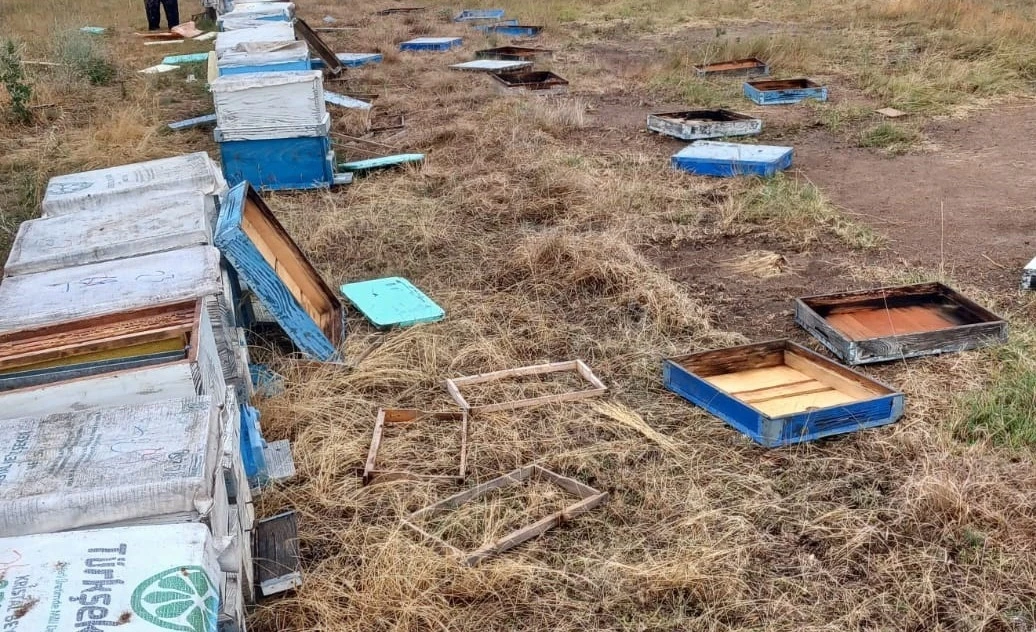 Hayrabolu’da hortum, arı kovanlarına zarar verdi: 163 kovan devrildi
