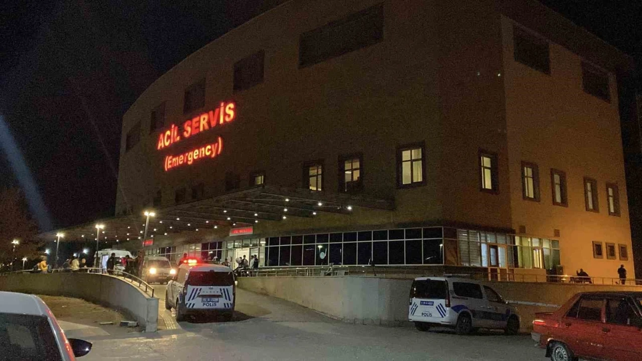 ‘Hayvan otlatma’ kavgası kanlı bitti: Komşusunu öldürüp intihar etti