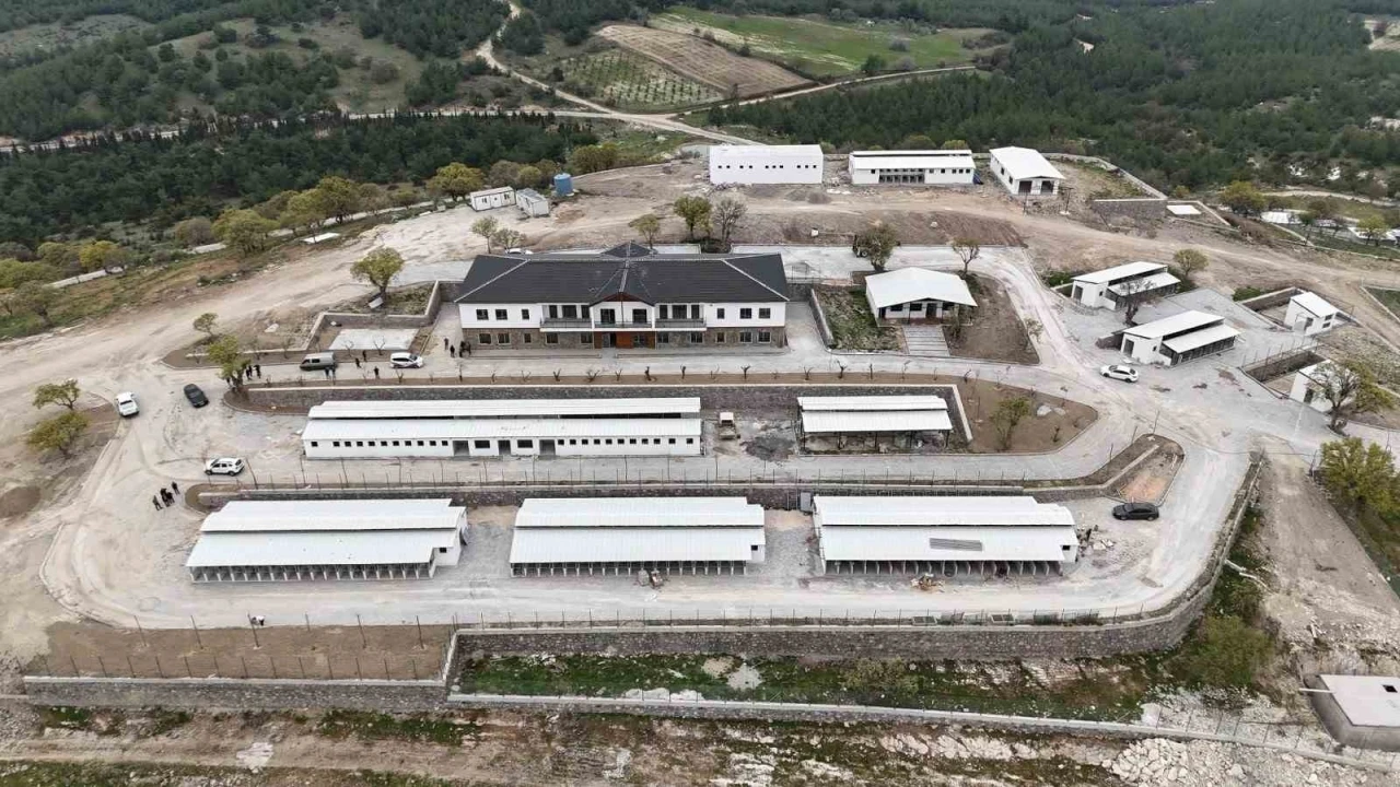Hayvan Yaşam Merkezi açılıyor
