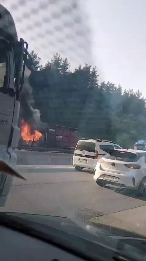Hayvan yüklü kamyon alevlere teslim oldu
