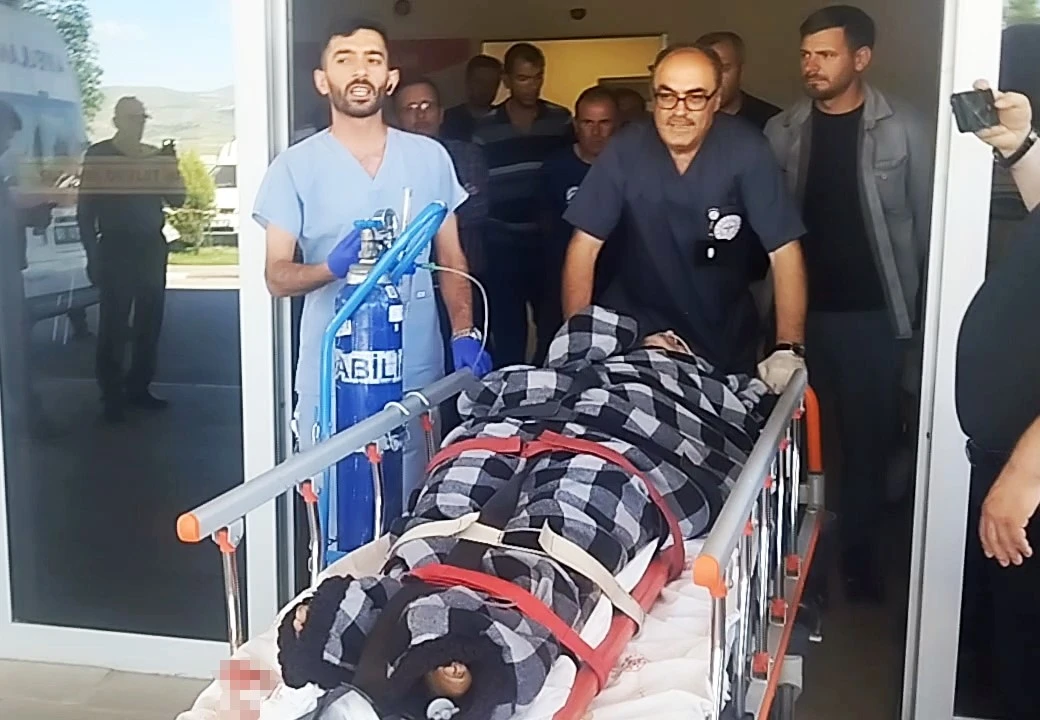 Hayvanlarını otlatırken ayı saldırısına uğradı, Kangallar imdadına yetişti

