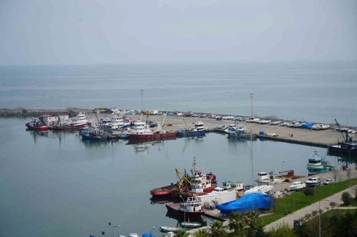 Hayvansal &uuml;r&uuml;n ihracatından milyonlarca d&ouml;viz T&uuml;rkiye ekonomisine girdi
