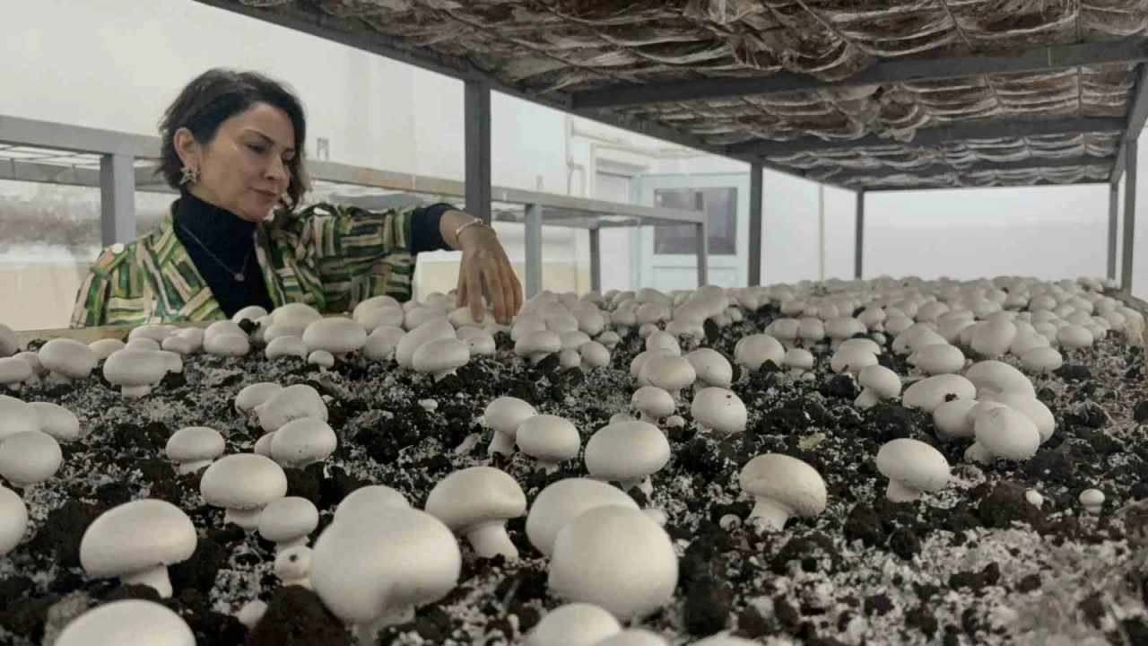 Hem eğitim g&ouml;r&uuml;p hem &uuml;retiyorlar
