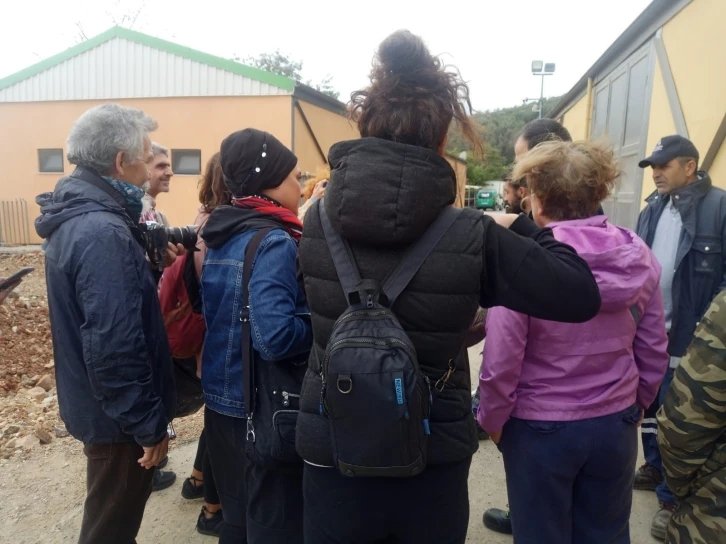 Heybeliada&rsquo;da &rsquo;atlara işkence&rsquo; iddiası hayvanseverleri harekete ge&ccedil;irdi
