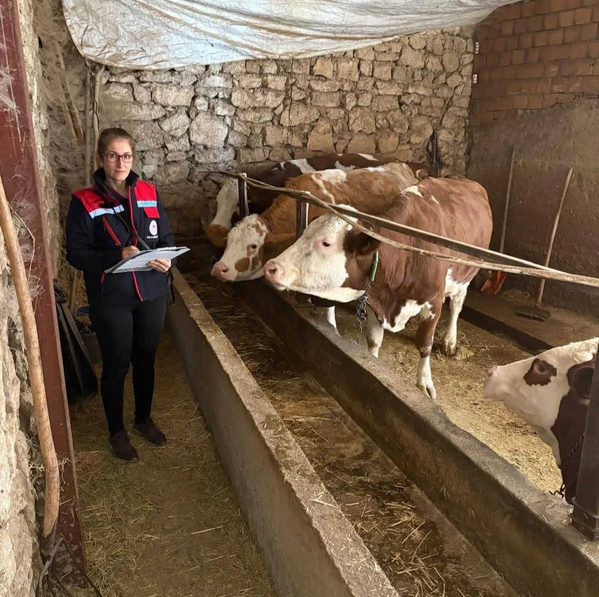 Hibe desteğiyle hayvancılık yapan besicilere y&ouml;nelik denetim
