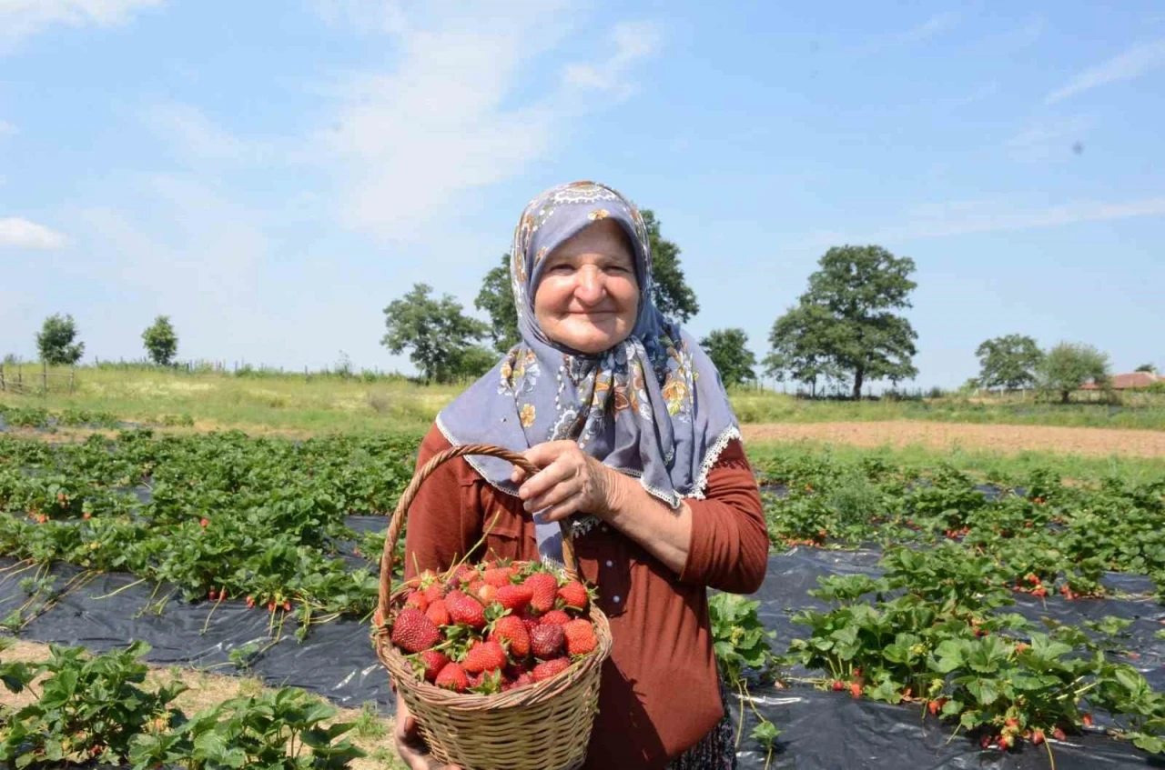 Hobi olarak 2 d&ouml;n&uuml;mde başladı, &uuml;retimi şimdi 42 d&ouml;n&uuml;me &ccedil;ıktı
