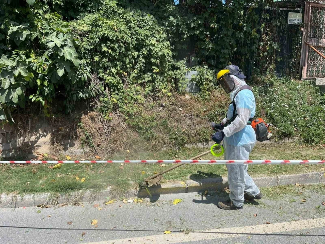 İBB&rsquo;nin sorumluluğundaki yollarda otlar metrelerce uzadı, temizliği Beykoz Belediyesi yaptı
