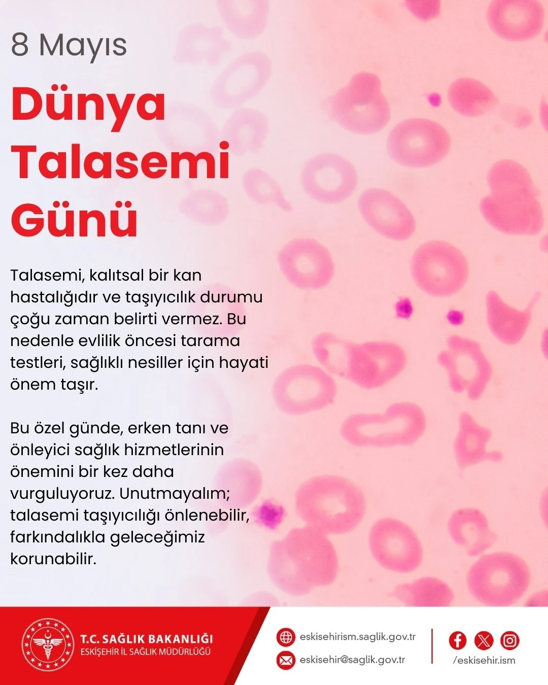 İl Sağlık Müdürü Bildirici Talasemi hakkında bilgilendirdi
