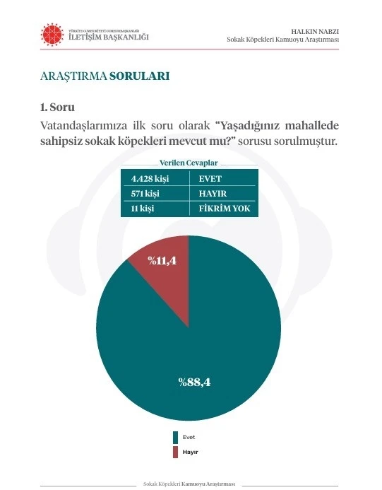 İletişim Başkanlığından sokak köpekleri kamuoyu araştırması
