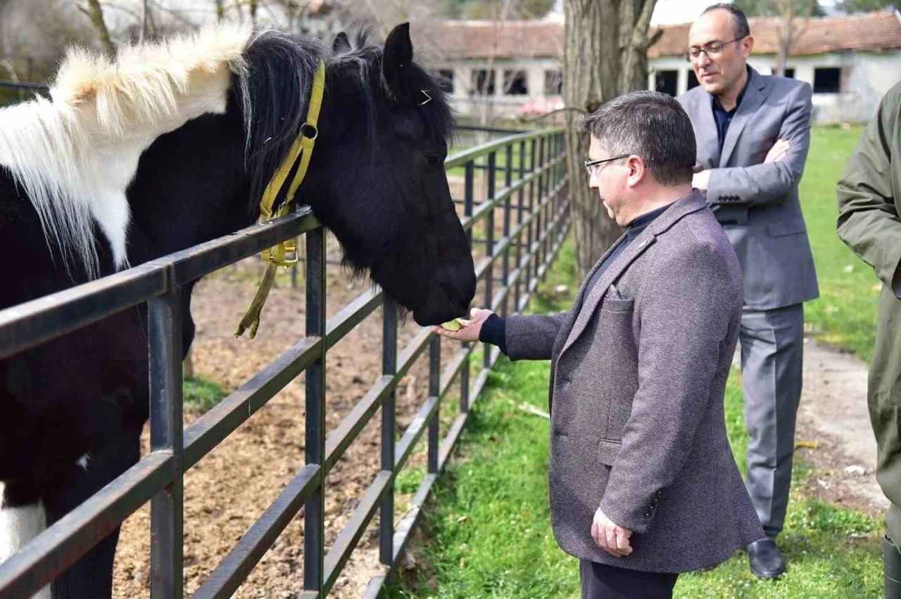 İlk t&uuml;p tay Balat 2 yaşında
