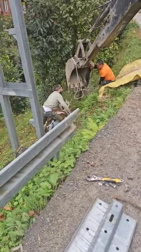 İneği vinçle düştüğü yamaçtan kurtardılar
