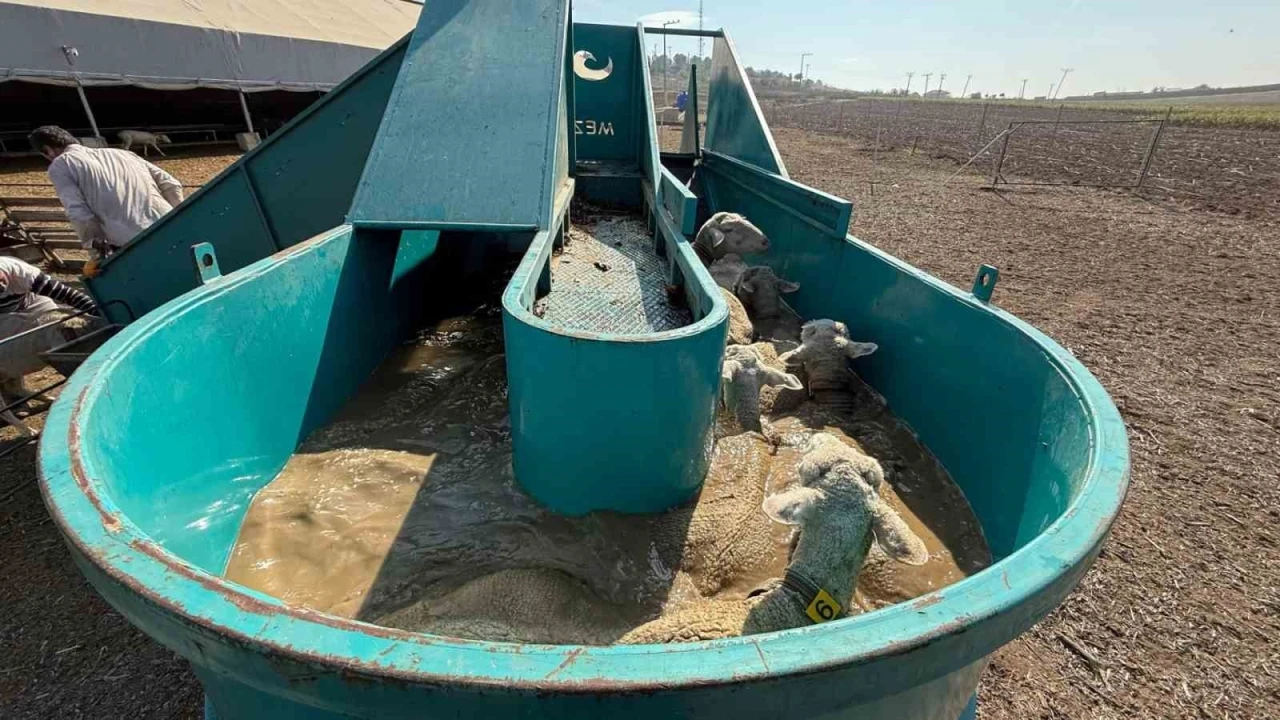 İneg&ouml;l Belediyesi&rsquo;nden tarıma ve &uuml;reticiye tam destek
