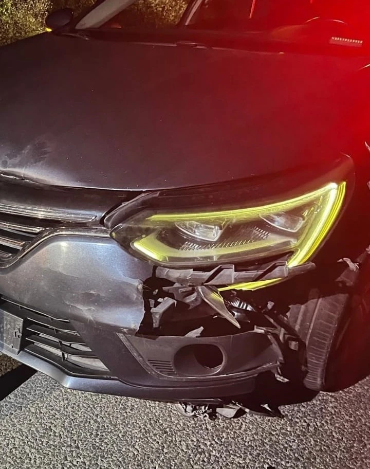 İnegöl’de otomobilin çarptığı ayı telef oldu