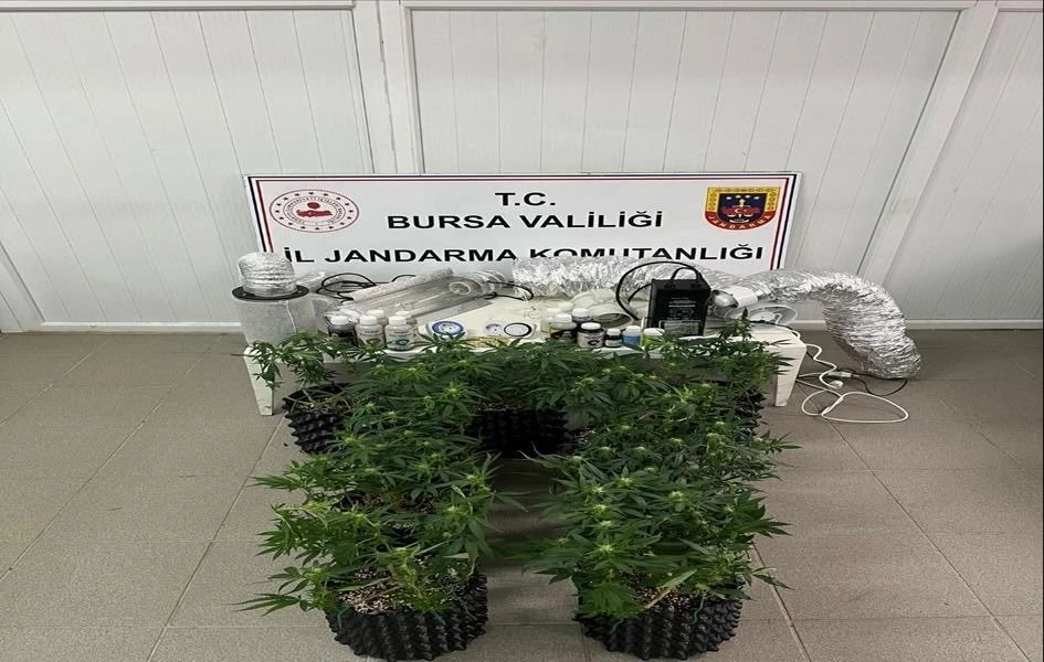 İneg&ouml;l&rsquo;de uyuşturucu operasyonu: Evde esrar &uuml;retim d&uuml;zeneği ele ge&ccedil;irildi
