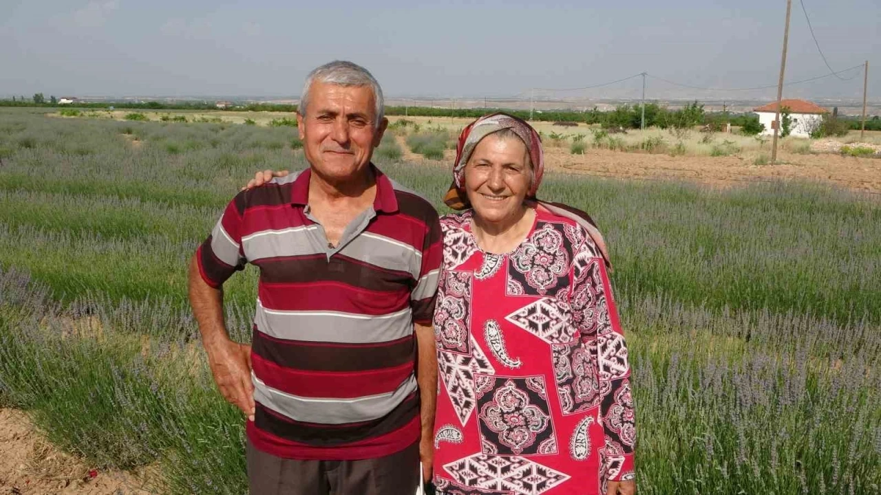 İnternetten gördüler, lavanta üreticisi oldular
