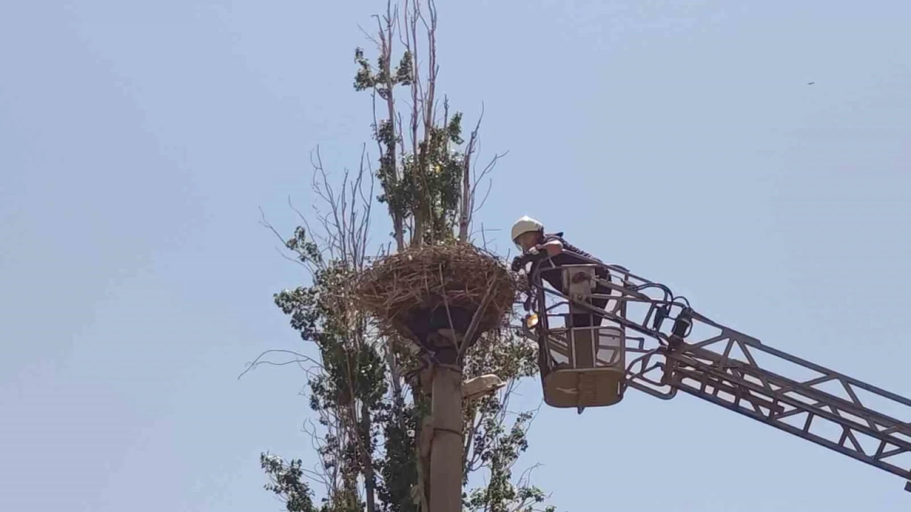 İpe dolanan leyleğin yardımına itfaiye yetişti
