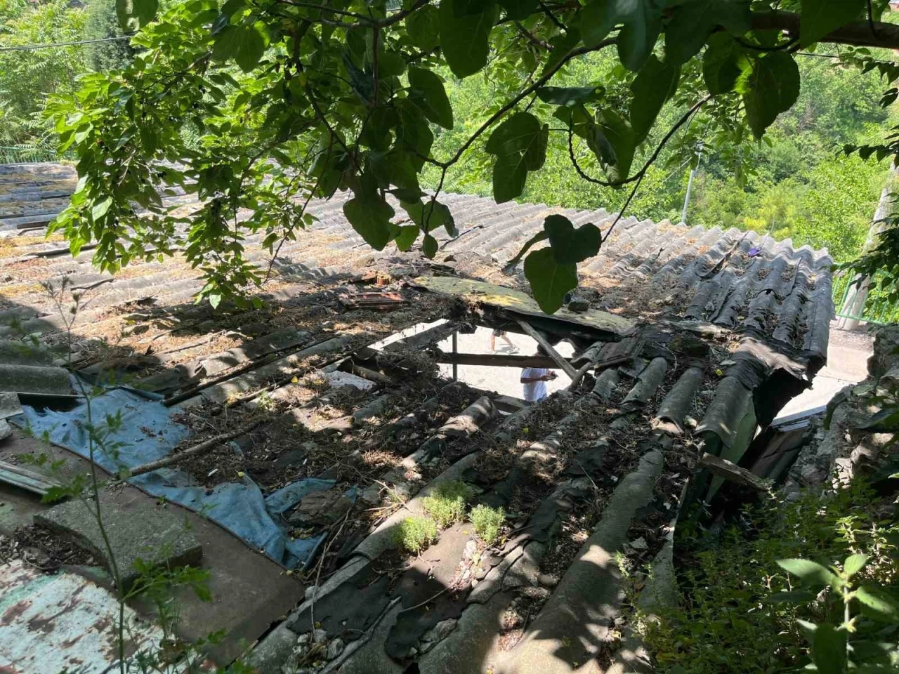 İpini koparan boğa 3 metre yükseklikten otomobilin üzerine düştü
