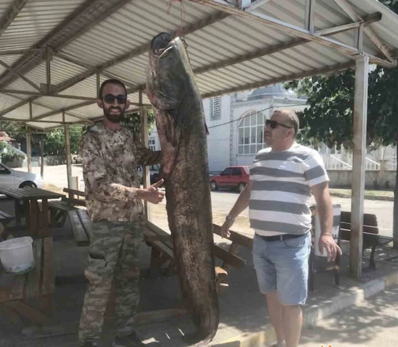 İpsala’da ağlara 80 kilo ağırlığında yayın balığı takıldı
