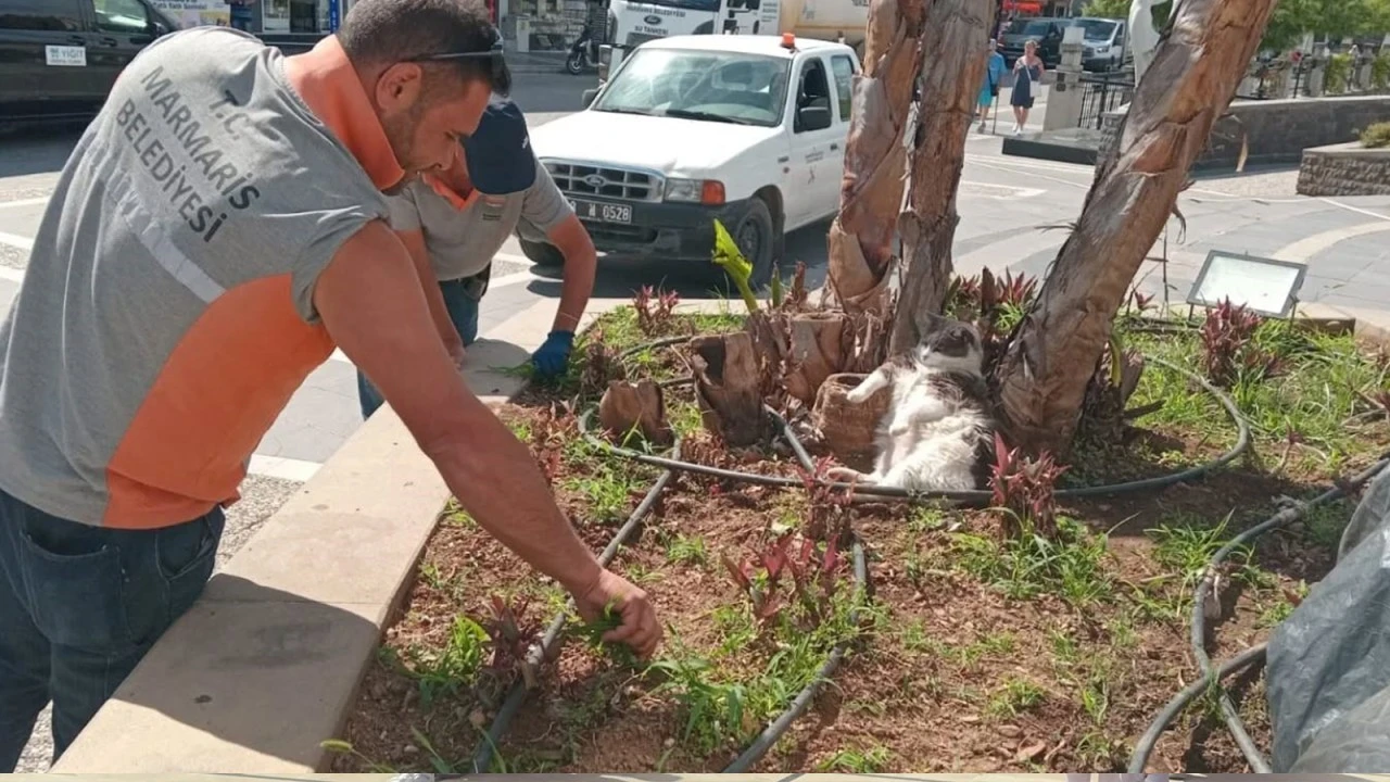 İŞÇİLER ÇALIŞIRKEN, O KEYFİNİ BOZMADI