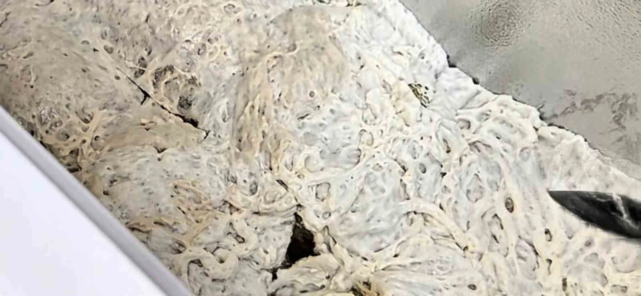 İşkembe görünümlü zula ekipleri şaşırttı
