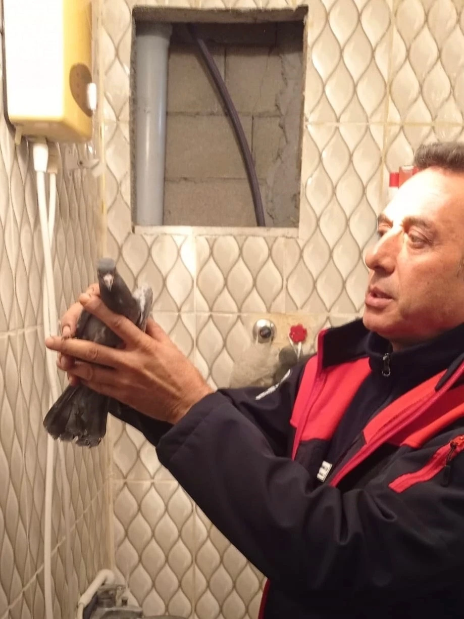 İskenderun’da itfaiye ekiplerinden güvercin kurtarma operasyonu
