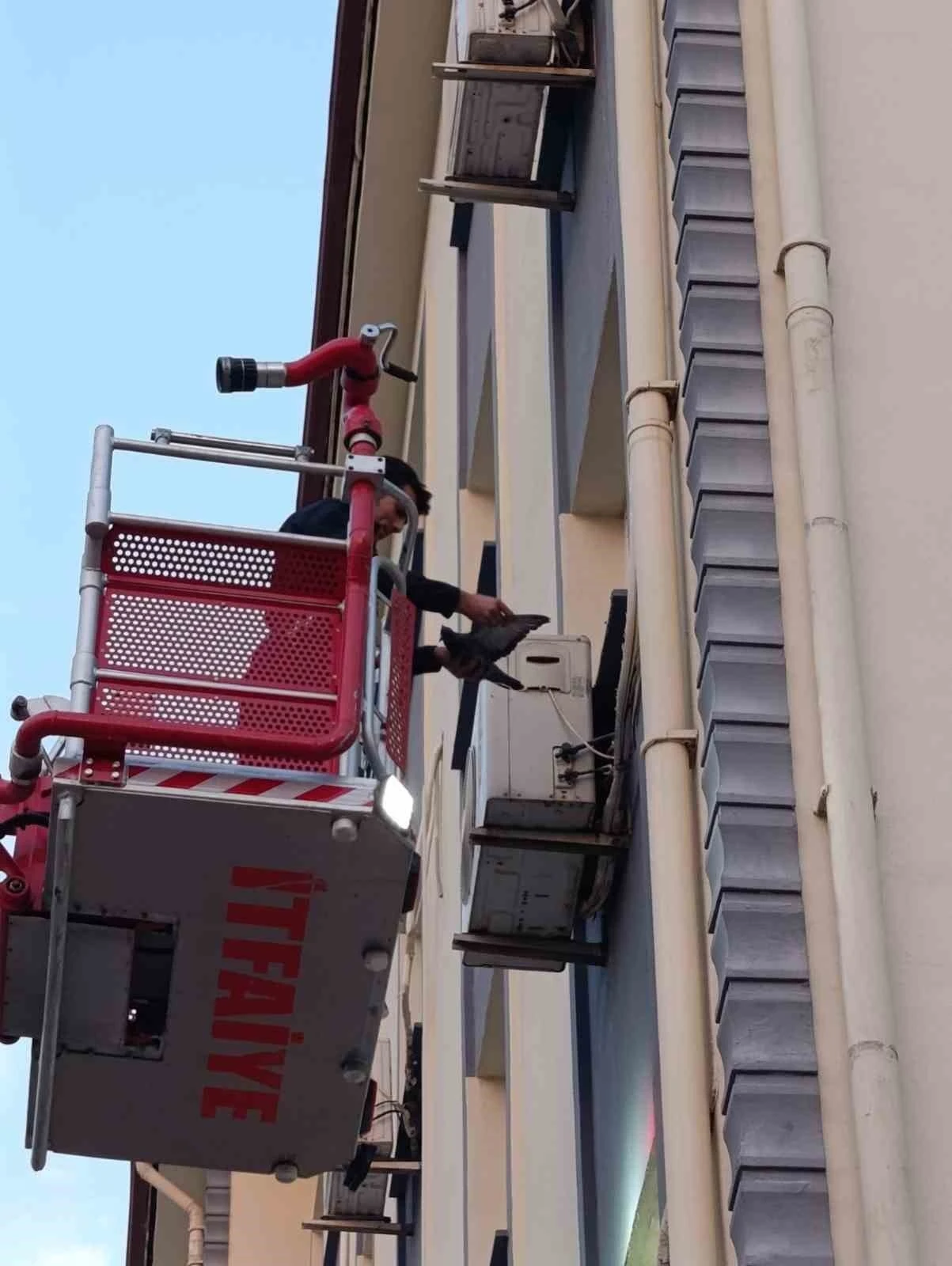 İskenderun&rsquo;da klima motoruna dolaşan kuş kurtarıldı
