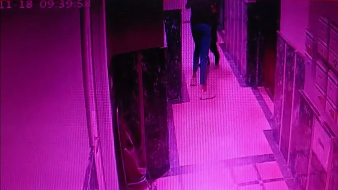 İstanbul’da karısını öldüren şahıs, Sakarya’da ölü olarak bulundu
