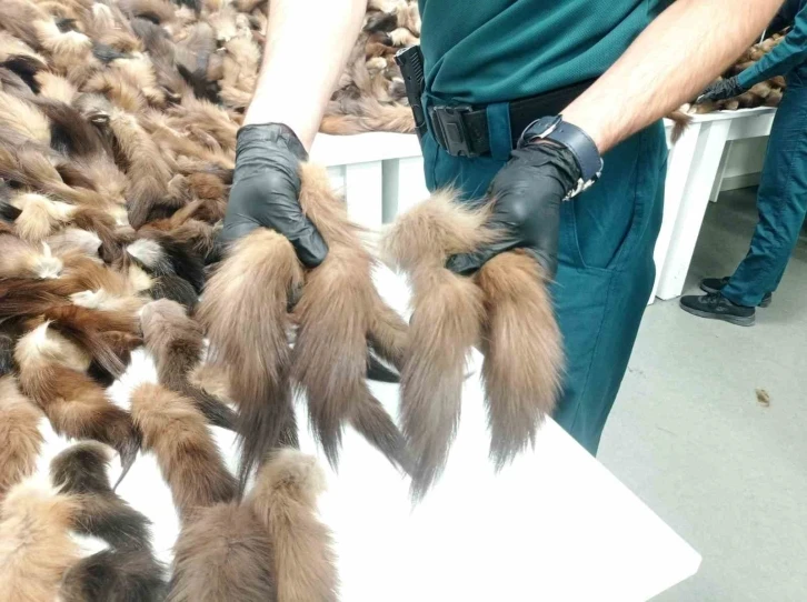 İstanbul Havalimanı&rsquo;nda 1 milyon 236 bin TL değerinde tilki kuyruğu yakalandı
