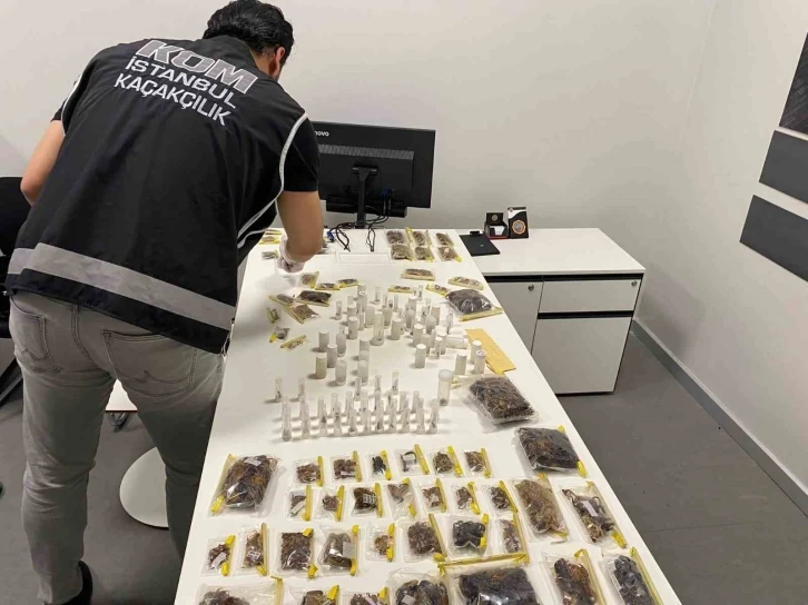 İstanbul Havalimanı’nda kaçakçılık operasyonu: ABD’li müze müdürü tarantula ve akrep kaçakçılığı yaparken yakalandı
