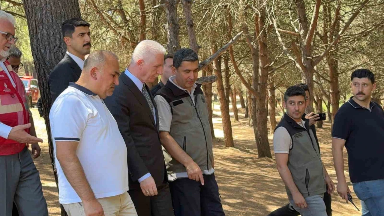 İstanbul Valisi Davut Gül, Sultangazi Kent Ormanı’nda incelemelerde bulundu: &quot;Yangın kontrol altına alındı&quot;
