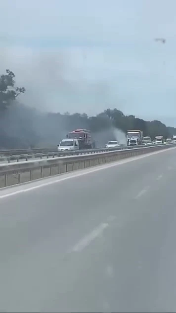 İzmir-Bursa kara yolunda alevler korkuttu
