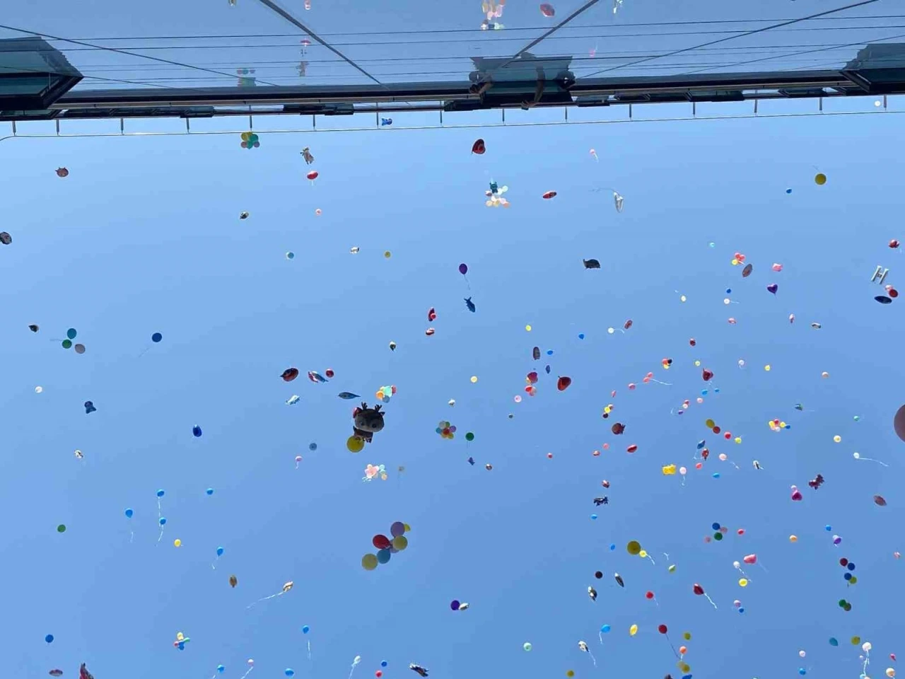 İzmir’de binlerce balon 6 yaşındaki Erhan ve arkadaşları için uçuruldu
