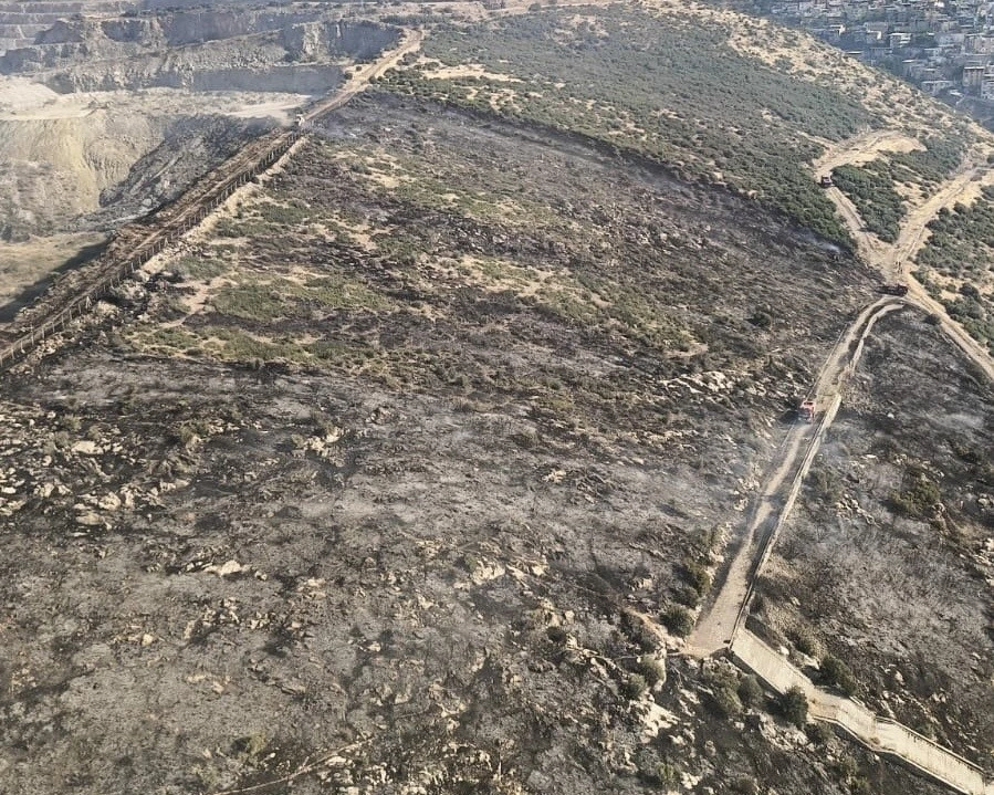 İzmir’de makilik alandaki yangın kontrol altında
