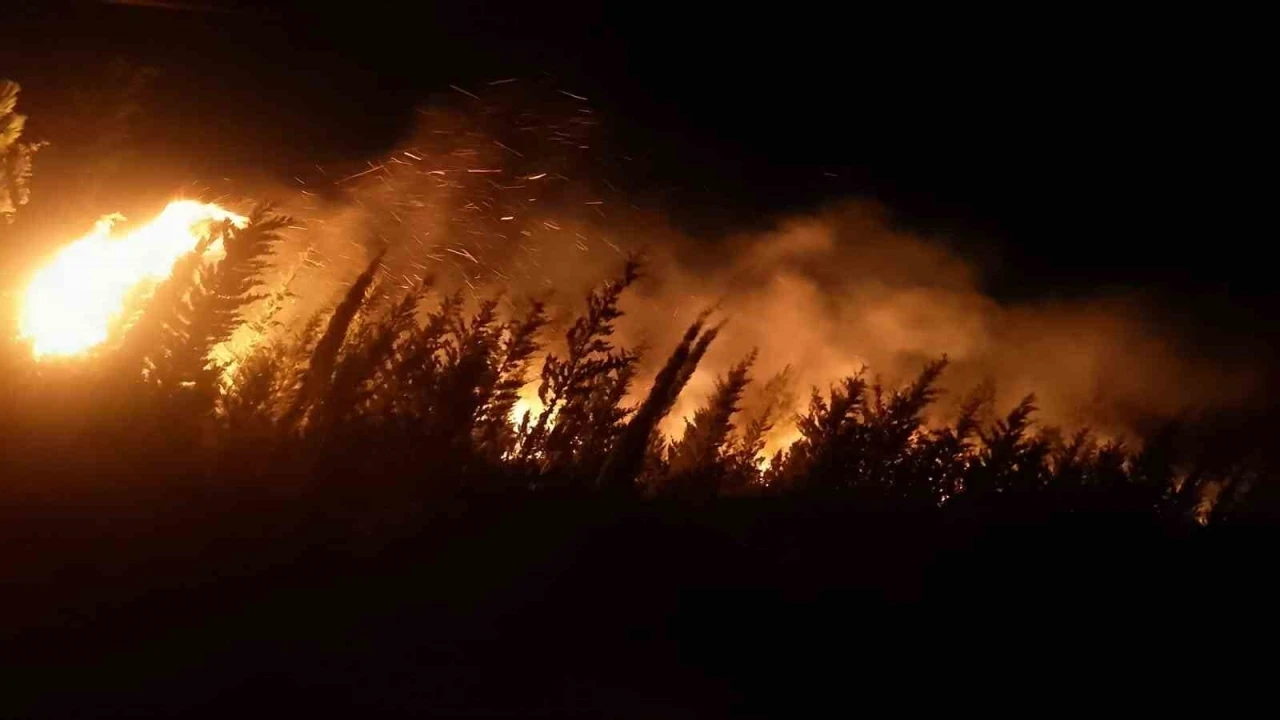 İzmir’de makilik ve ormanlık alanda yangın
