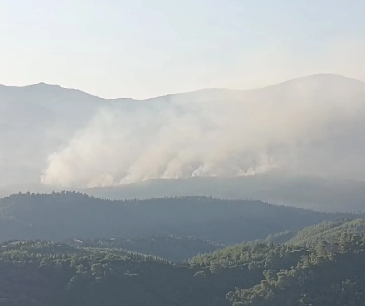 İzmir’de orman yangını sürüyor... Günün aydınlanmasıyla havadan müdahale yeniden başladı
