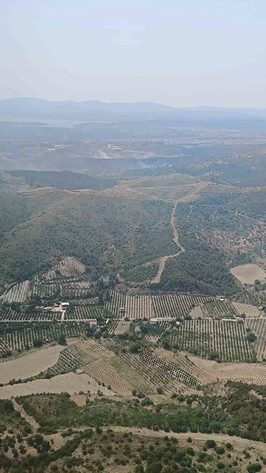 İzmir’de ormanlık arazide çıkan yangın kontrol altında
