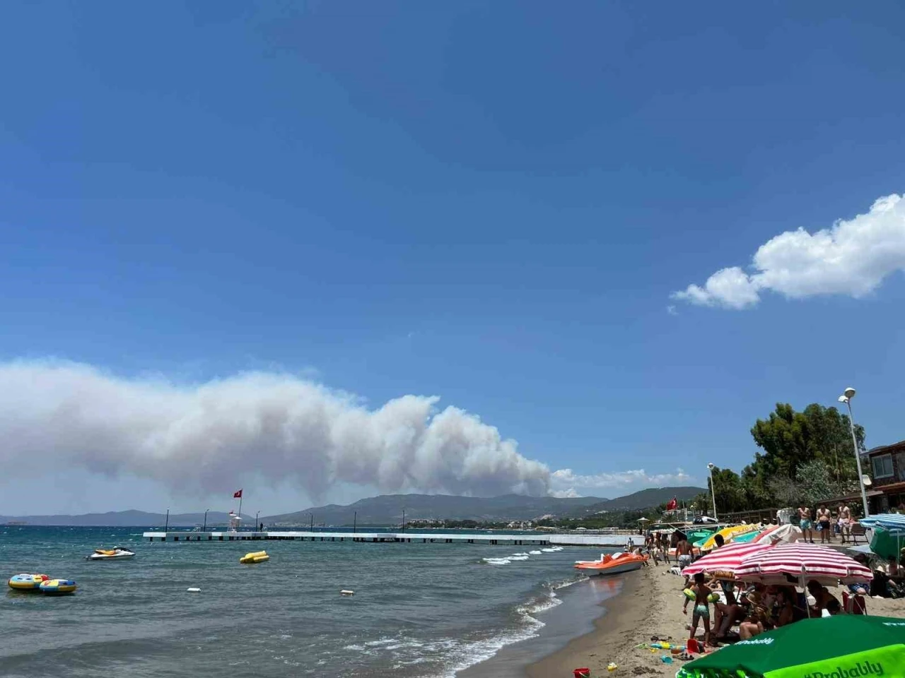 İzmir Menderes’te orman yangını
