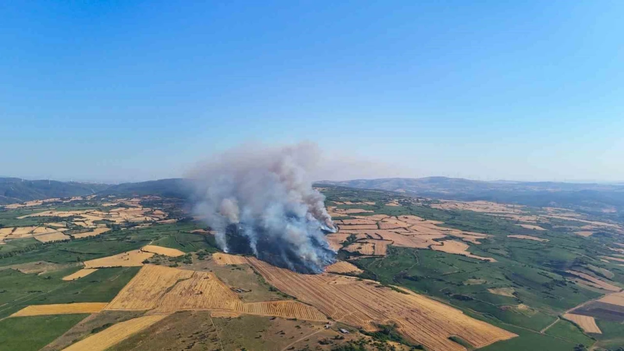 İzmir otoyolunun yanı başındaki yangına 3 helikopter müdahale etti
