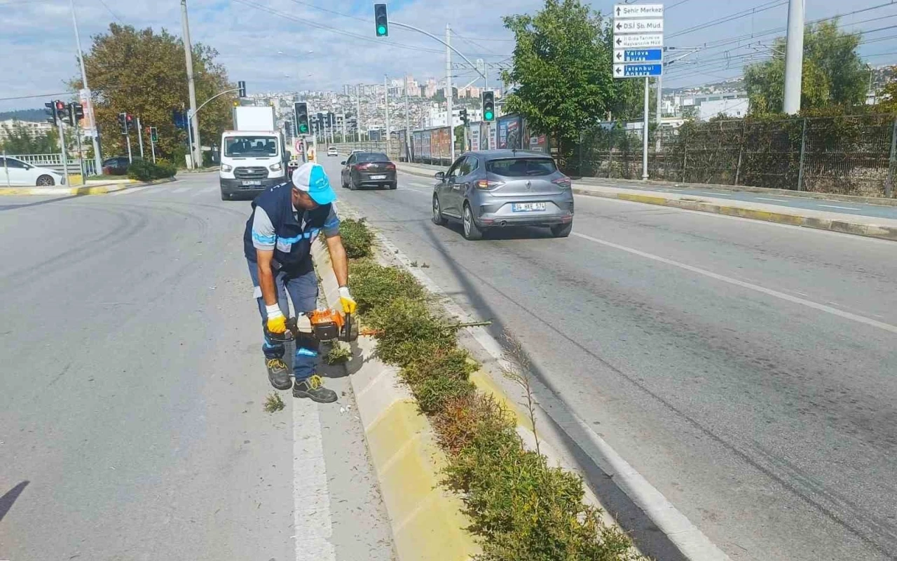 İzmit’te sonbahar budaması
